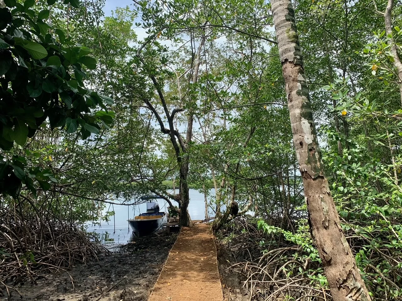 Terreno | En Venta | Bocas del Toro