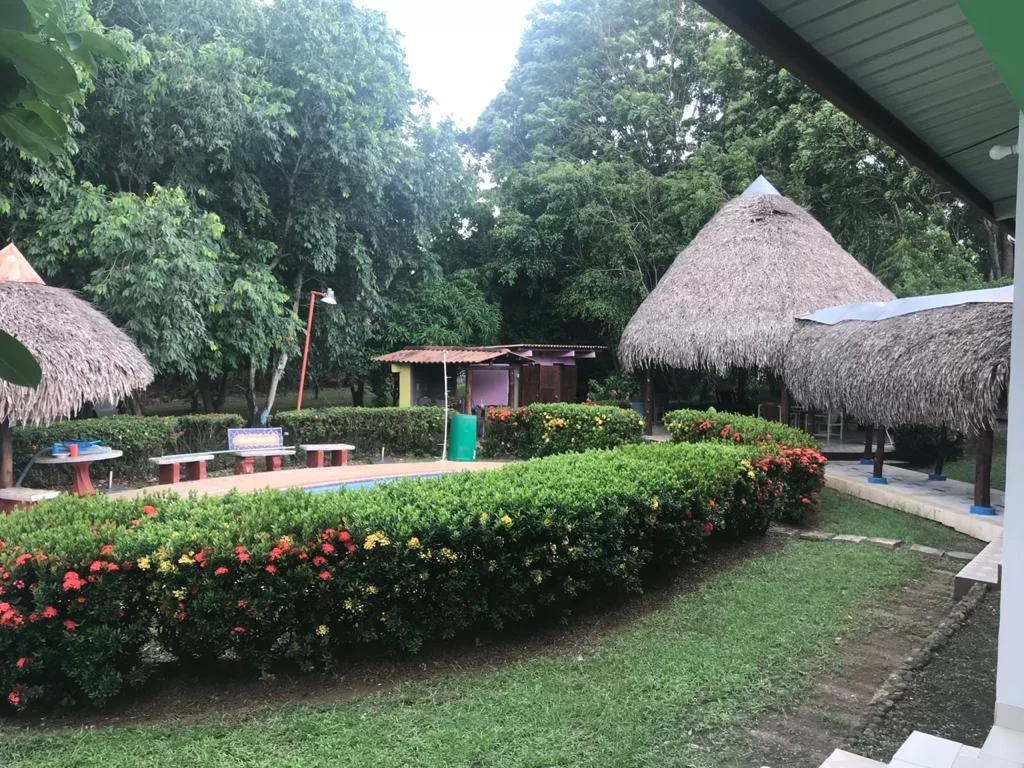 Foto 5